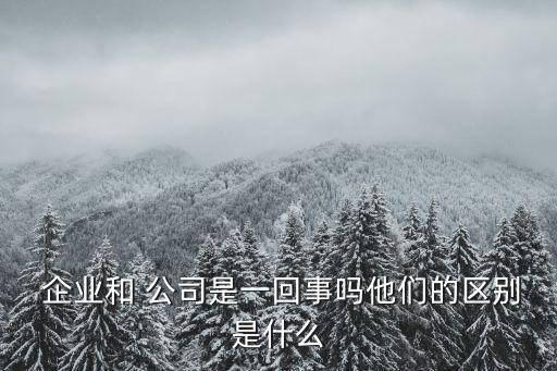  企業(yè)和 公司是一回事嗎他們的區(qū)別是什么