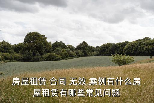 如何判定合同無效案例分析,確認(rèn)抵押合同無效典型案例分析
