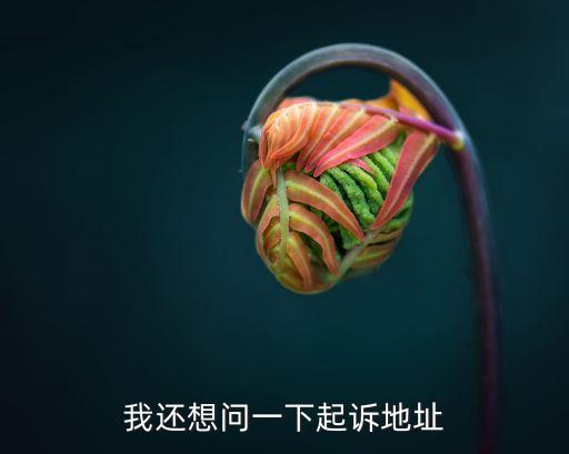 起訴去哪里起訴，起訴去哪里起訴