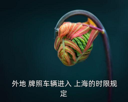  外地 牌照車(chē)輛進(jìn)入 上海的時(shí)限規(guī)定