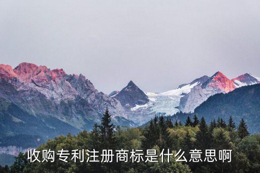 收購(gòu)專利注冊(cè)商標(biāo)是什么意思啊