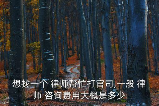 想找一個(gè) 律師幫忙打官司,一般 律師 咨詢費(fèi)用大概是多少