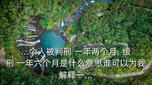 ...個(gè)人被判刑 一年兩個(gè)月, 緩刑 一年六個(gè)月是什么意思誰(shuí)可以為我解釋一...