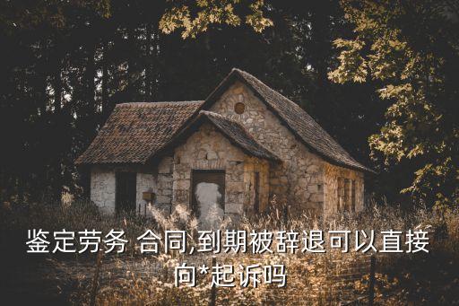 鑒定勞務(wù) 合同,到期被辭退可以直接向*起訴嗎