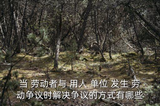 當 勞動者與 用人 單位 發(fā)生 勞動爭議時解決爭議的方式有哪些
