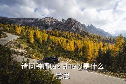 請(qǐng)問稅盾tax shield是什么意思