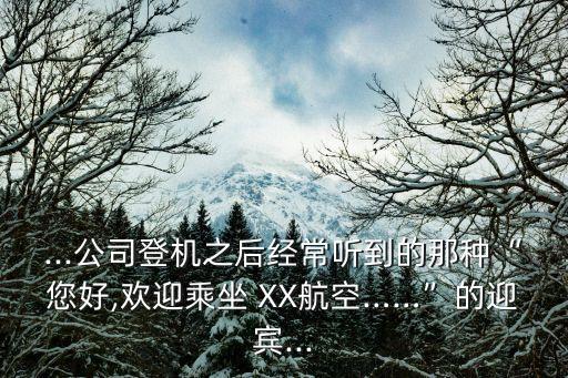 中國XX