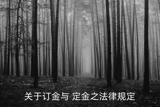 定金的法律法規(guī)規(guī)定,政府規(guī)章可以在法律、法規(guī)規(guī)定