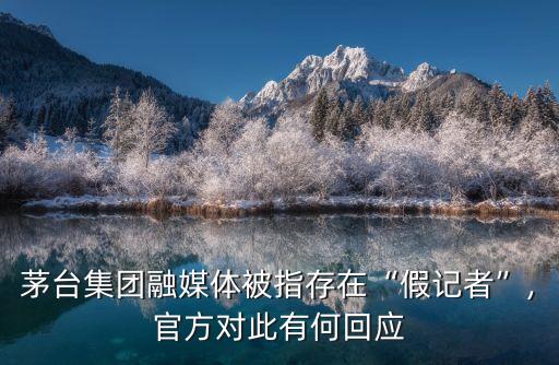 假記者