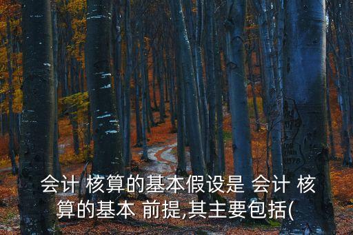 會(huì)計(jì)核算的基本前提,投資者與被投資者會(huì)計(jì)核算的基本前提