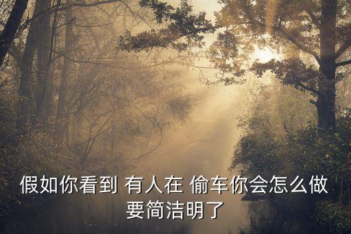 有人偷車,電瓶車怎么防盜,總是有人偷車