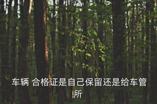  車輛 合格證是自己保留還是給車管所