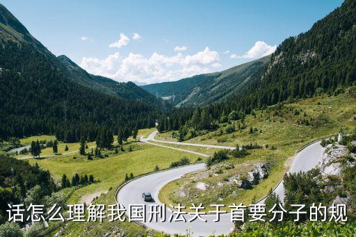 話怎么理解我國刑法關(guān)于首要分子的規(guī)