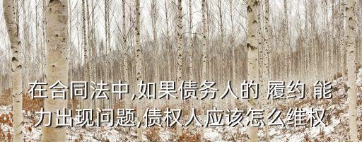 在合同法中,如果債務(wù)人的 履約 能力出現(xiàn)問題,債權(quán)人應(yīng)該怎么維權(quán)