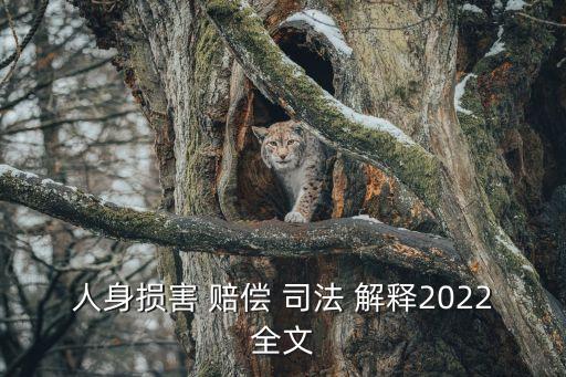 國家賠償法司法解釋,最高院關(guān)于國家賠償法司法解釋