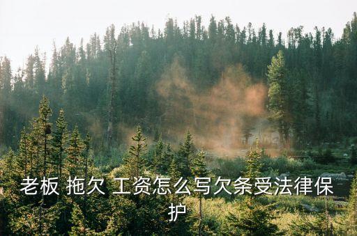 起訴書怎么寫 欠款 拖欠工資,個(gè)人小老板欠工資不給怎么辦