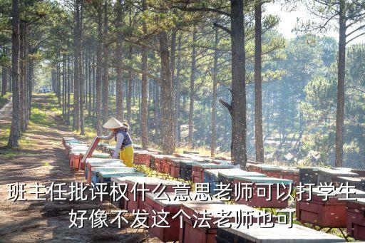 班主任批評權什么意思老師可以打學生好像不發(fā)這個法老師也可