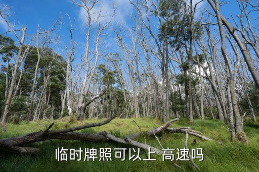 臨牌能上高速嗎,新車只有臨牌能上高速嗎