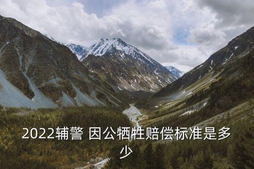 因公殉職