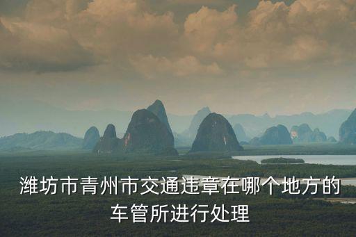  濰坊市青州市交通違章在哪個(gè)地方的 車管所進(jìn)行處理