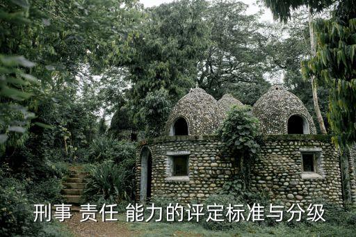  刑事 責(zé)任 能力的評(píng)定標(biāo)準(zhǔn)與分級(jí)