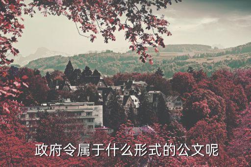  政府令屬于什么形式的公文呢