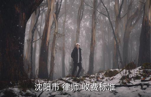 新民區(qū)合同法律師收費(fèi)多少