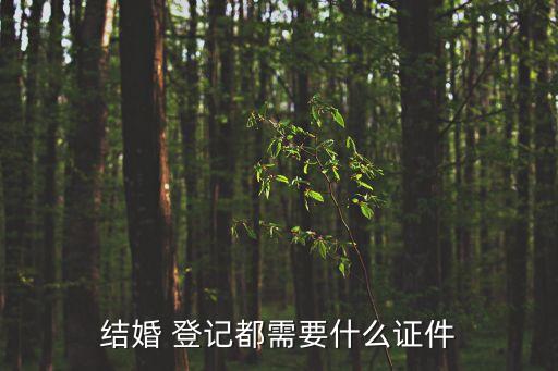 結(jié)婚 登記都需要什么證件