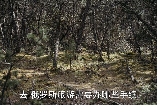 去 俄羅斯旅游需要辦哪些手續(xù)