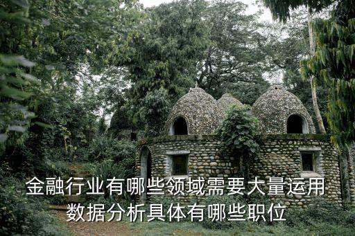 大數(shù)據(jù)金融