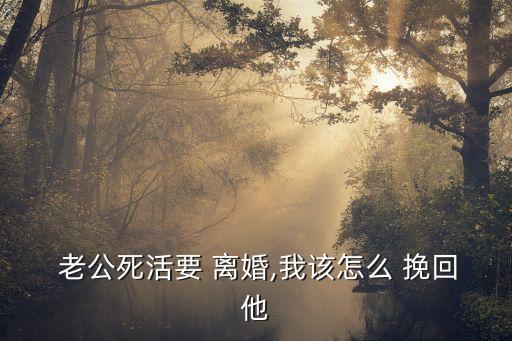  老公死活要 離婚,我該怎么 挽回他