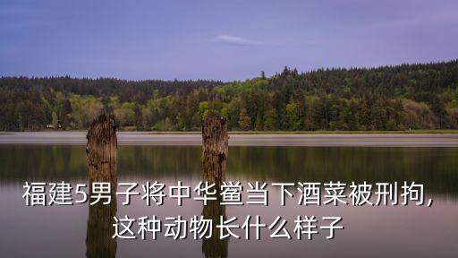 吃鱟犯法嗎,福建吃鱟犯法嗎