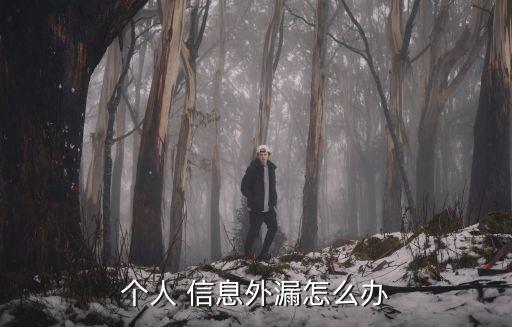 個(gè)人 信息外漏怎么辦