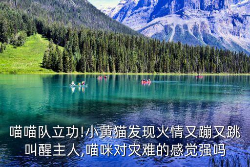 女主人的目的,女生宿舍電影免費(fèi)觀看韓劇1
