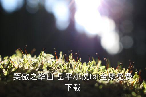 岳平