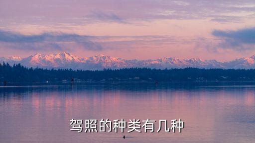 駕照的種類有幾種