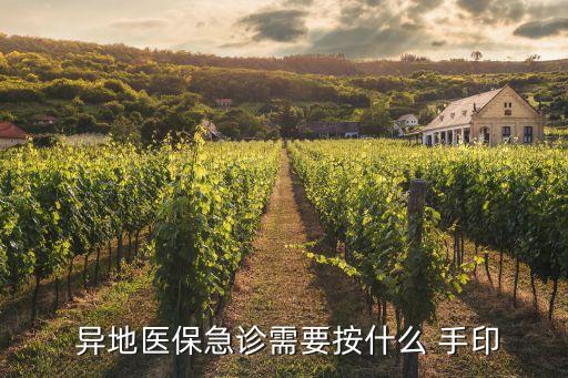 異地怎么簽字按手印,可以異地簽字的軟件
