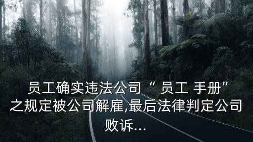 員工手冊可以作為勞動合同附件嗎,規(guī)章制度可以作為勞動合同附件嗎