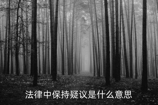 法律中保持疑議是什么意思