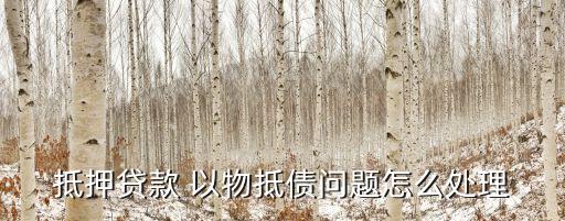 以物抵債，簽訂了以物抵債協(xié)議債權(quán)人是否有權(quán)選擇金錢償付
