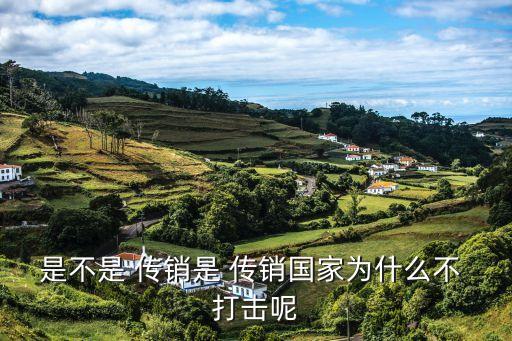 打擊傳銷