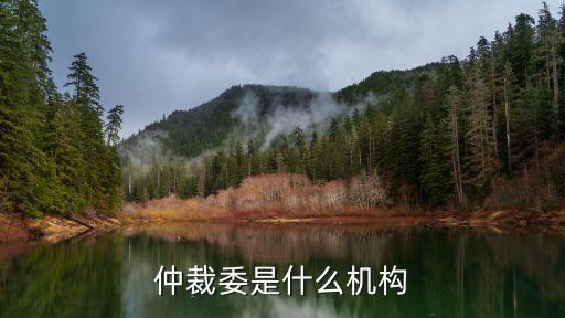 仲裁委是什么機構(gòu)