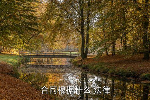  合同根據(jù)什么 法律