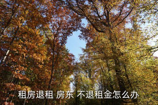 租房子房東不退錢怎么處理,租房糾紛找哪個(gè)部門解決