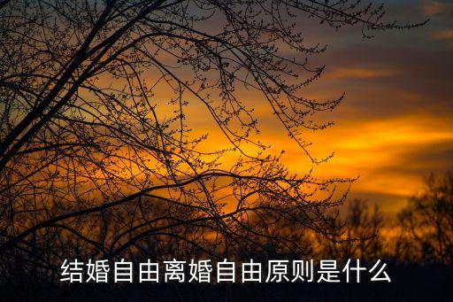 離婚自由，什么是結(jié)婚自由離婚自由