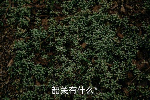 韶關(guān)*，韶關(guān)有什么*