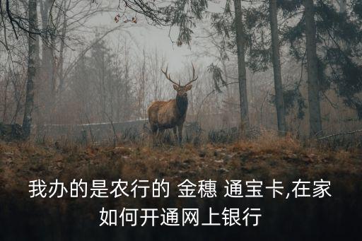 金穗通寶卡,中國農(nóng)業(yè)銀行金穗通寶卡