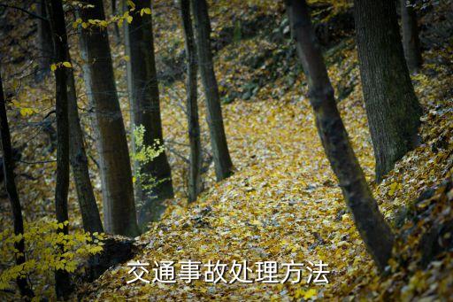 交通事故如何處理