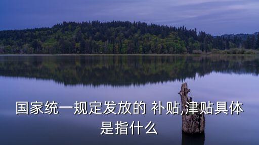 國家統(tǒng)一規(guī)定發(fā)放的 補貼,津貼具體是指什么