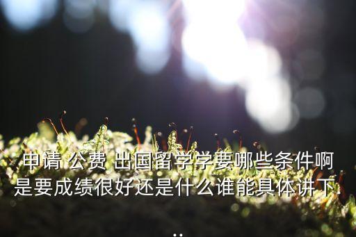 申請(qǐng) 公費(fèi) 出國(guó)留學(xué)學(xué)要哪些條件啊是要成績(jī)很好還是什么誰能具體講下...